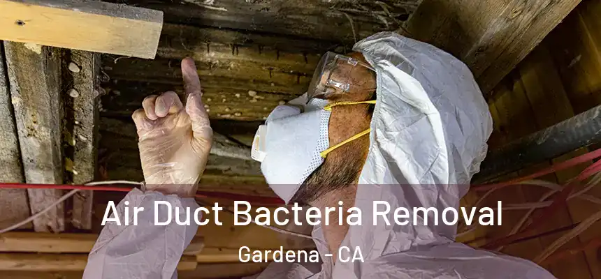  Air Duct Bacteria Removal Gardena - CA