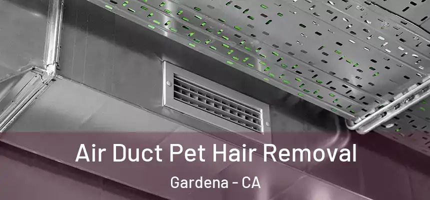 Air Duct Pet Hair Removal Gardena - CA