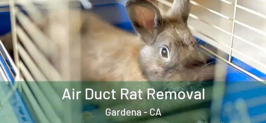  Air Duct Rat Removal Gardena - CA