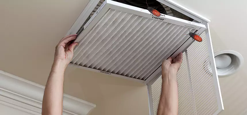 Preventive Cockroach-Proofing for Ducts in Gardena