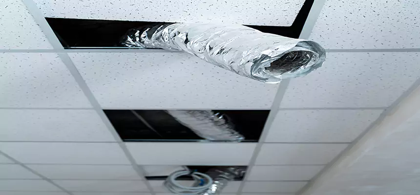 Our Air Duct Pet Hair Removal Services in Gardena, CA