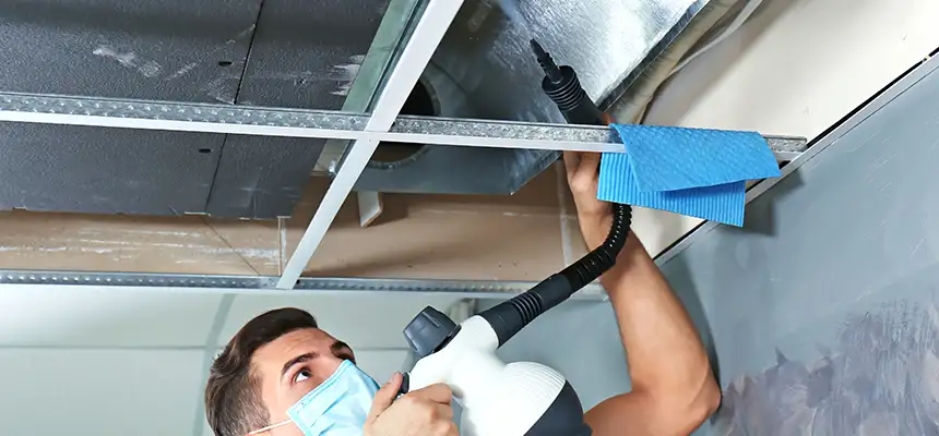 Our Air Duct Rodent Removal Services in Gardena, CA
