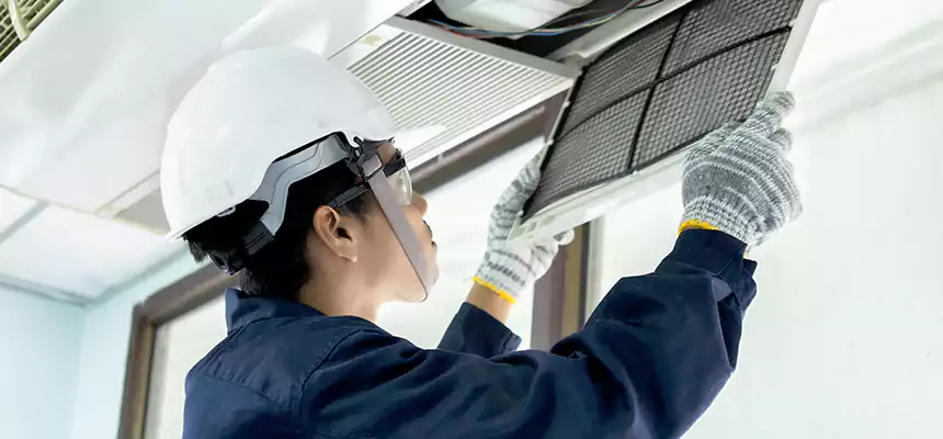 Our Mold & Mildew Removal from Air Ducts Services in Gardena, CA