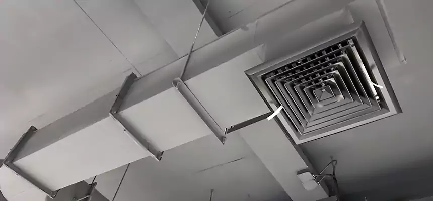 Our Pest Removal From Ducts Services in Gardena, CA