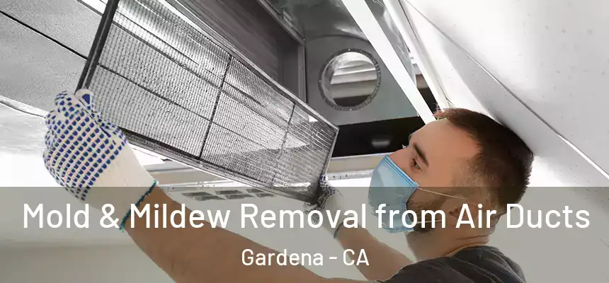  Mold & Mildew Removal from Air Ducts Gardena - CA