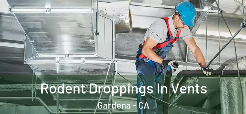 Rodent Droppings In Vents Gardena - CA