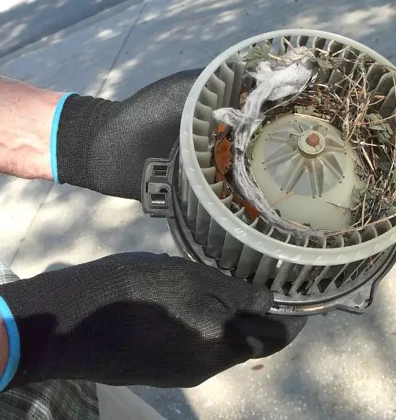 About Air Duct Mice Removal in Gardena, CA