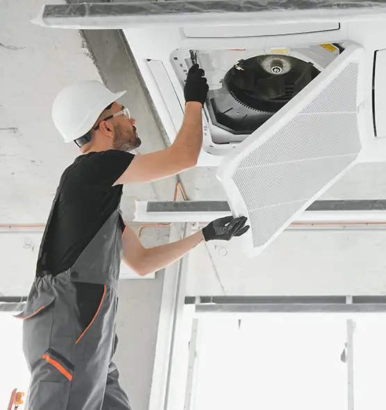 About Air Duct Rodent Removal in Gardena, CA