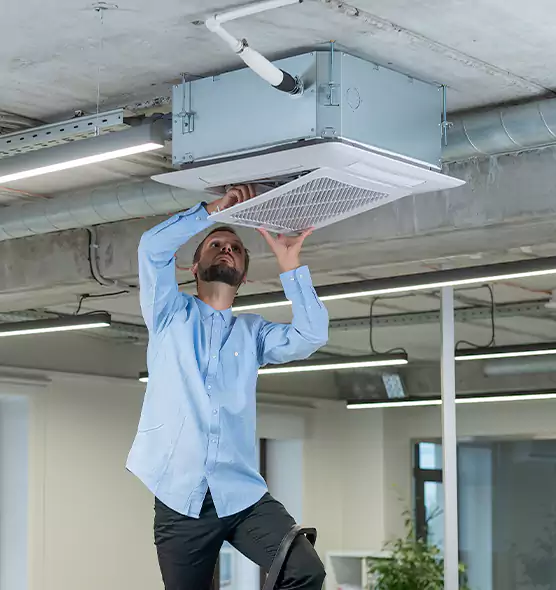 Advanced Rodent Droppings In Vents in Gardena, CA