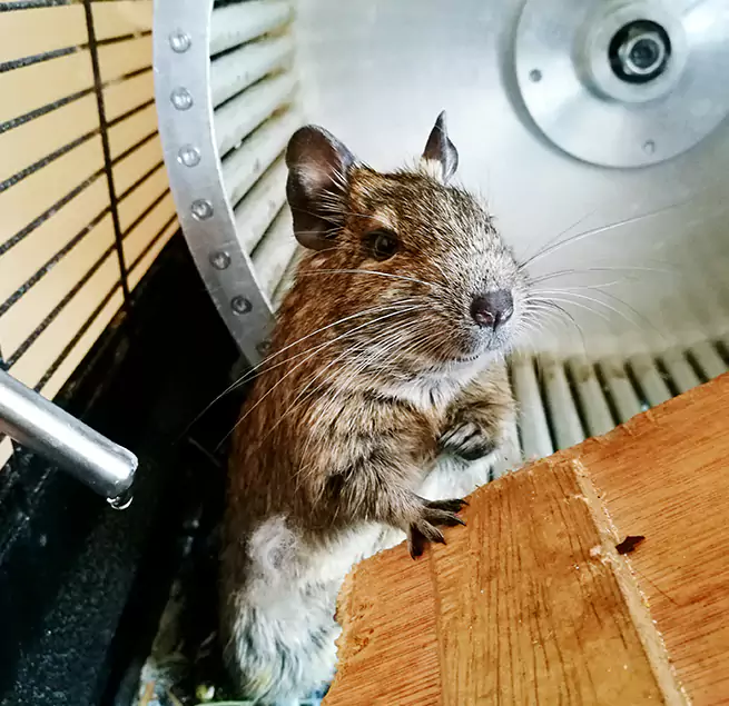 Why Homeowners & Businesses Trust Us Gardena, CA?