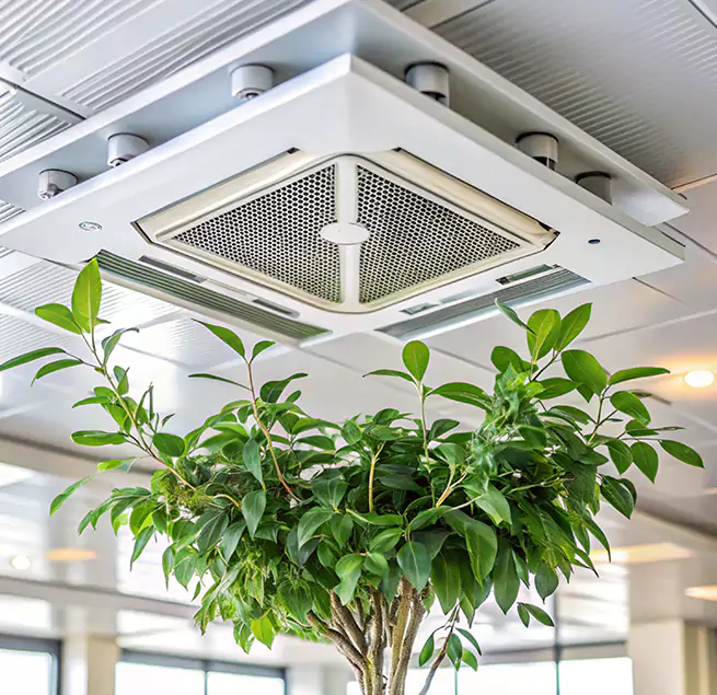 Why Homeowners & Businesses Trust Us in Gardena, CA