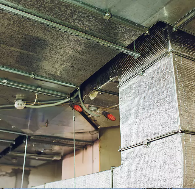 Why Homeowners & Businesses Trust Us Gardena, CA?